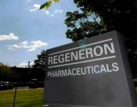 Regeneron plan is ahead of schedule