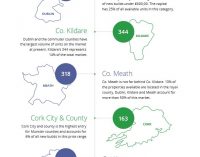 25% of Homes That Qualify for the First-Time Buyers Scheme Located In Dublin