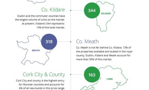 25% of Homes That Qualify for the First-Time Buyers Scheme Located In Dublin