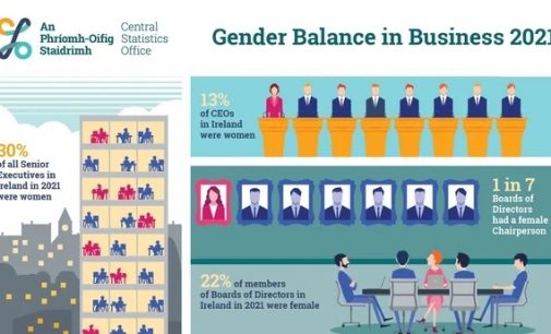 One in eight CEOs in Ireland are women – CSO survey