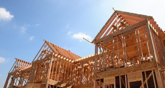 Home-building potential of Irish wood underlined in new poll