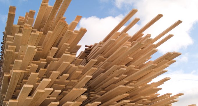 Plan to boost home-grown timber