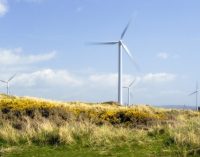 ESB and Coillte in Discussions to Deliver Renewable Energy Projects
