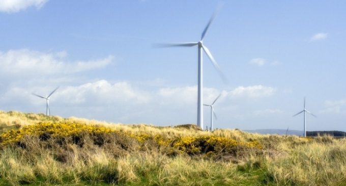 ESB and Coillte in Discussions to Deliver Renewable Energy Projects