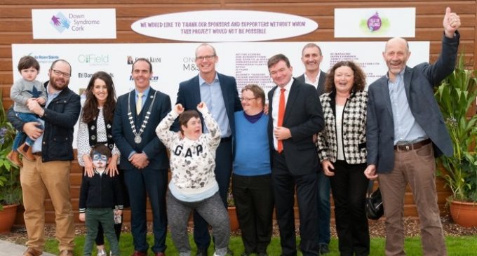 CField Construction Helps Build Field of Dreams For Down Syndrome Cork