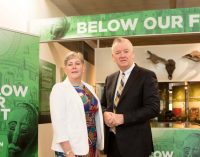 BAM and Cork City Council Launch ‘Below our Feet’ Exhibition of Cork’s Unearthed Viking History