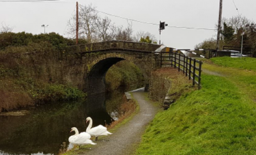 Fingal County Council Making Progress on Greenways Across the Region