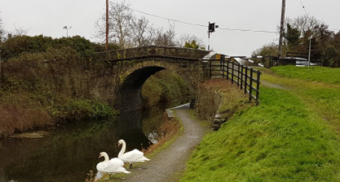 Fingal County Council Making Progress on Greenways Across the Region