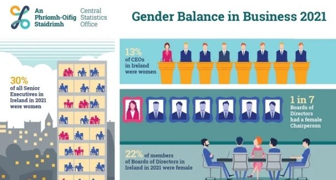 One in eight CEOs in Ireland are women – CSO survey