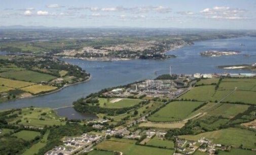 Massive Cork Harbour clean-up reaches completion