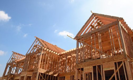 Home-building potential of Irish wood underlined in new poll