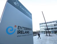 Enterprise Ireland Reports Record Job Growth Amidst Challenging Year