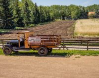 Workplace Fatalities Surge in Cork as Farming Tops List in 2023