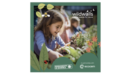 Ecocem and Biodiversity in Schools Launch Nationwide ‘Wildwalls’ Campaign